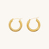 Gold hoop earrings on a white background