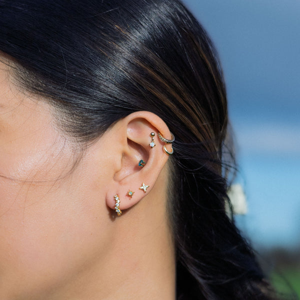 Close-up of an ear with multiple earrings against a blurred natural background