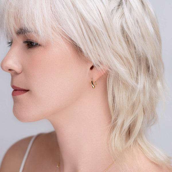Waterdrop Hook Earrings