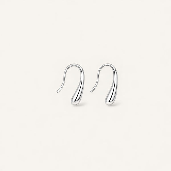 Waterdrop Hook Earrings